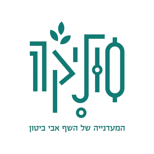 סוליקה